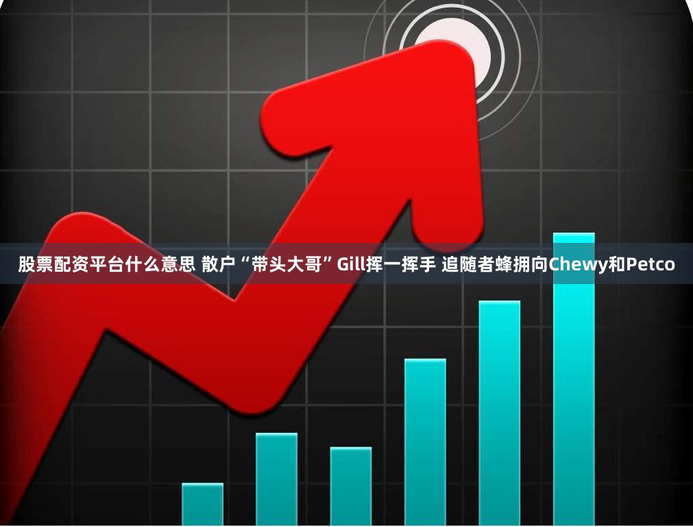 股票配资平台什么意思 散户“带头大哥”Gill挥一挥手 追随者蜂拥向Chewy和Petco