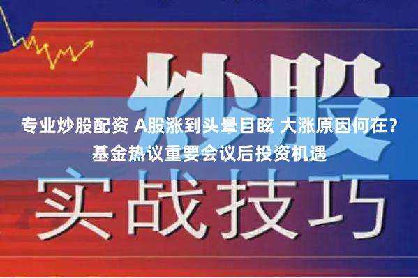 专业炒股配资 A股涨到头晕目眩 大涨原因何在？基金热议重要会议后投资机遇